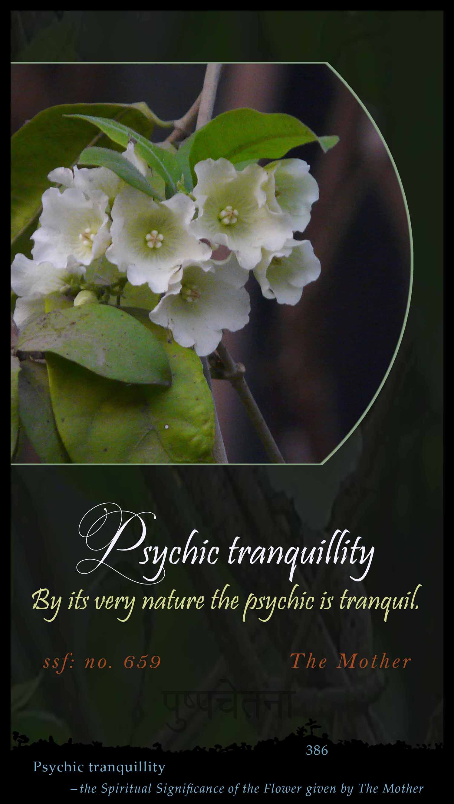 Psychic Tranquillity